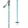 Scott Punisher Ski Poles -Scott Online Store BL