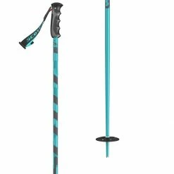 Scott Punisher Ski Poles