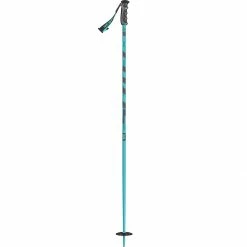 Scott Punisher Ski Poles -Scott Online Store BL D2