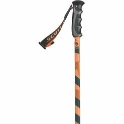 Scott Punisher Ski Poles -Scott Online Store OR D1
